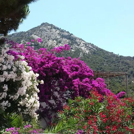 Dom wakacyjny Casa Fiore